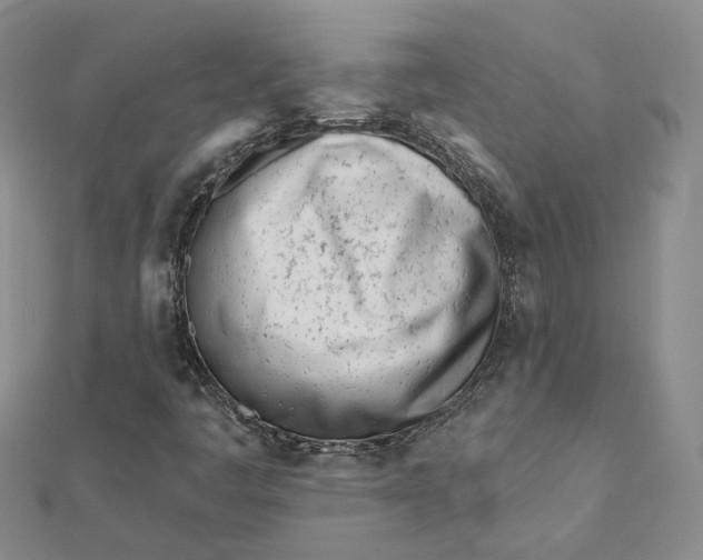 X0000112081445200908251054