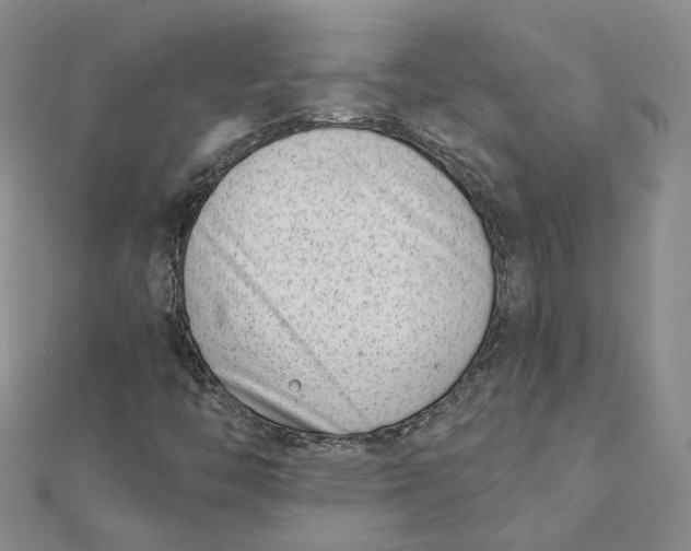 X0000112081446200908251054