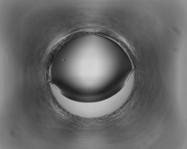 X0000112081448200908251054