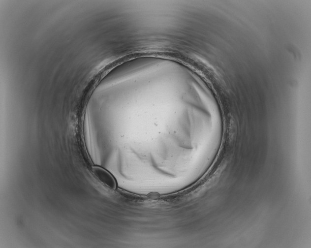 X0000112081449200908251054