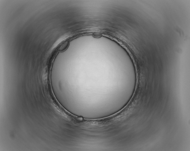 X0000112081450200908251054