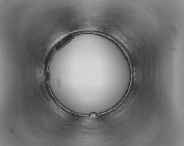 X0000112081452200908251054