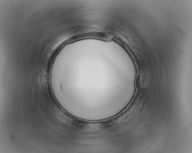 X0000112081453200908251054