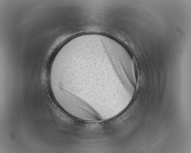 X0000112081454200908251054