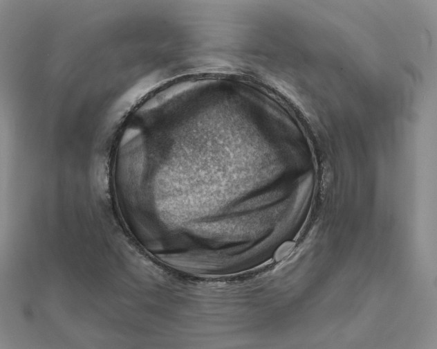 X0000112081455200908251054