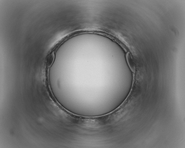 X0000112081456200908251054