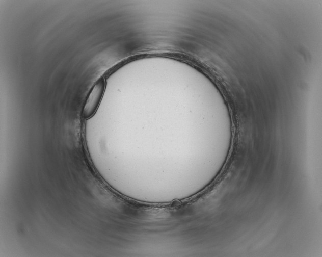 X0000112081457200908251054