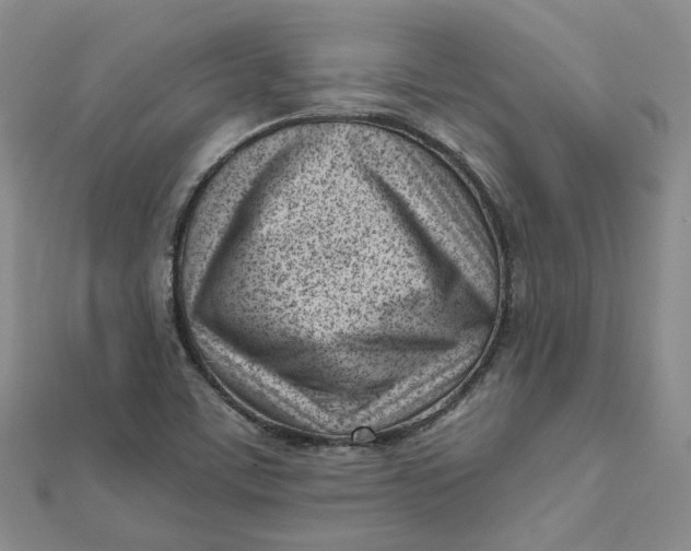 X0000112081459200908251054