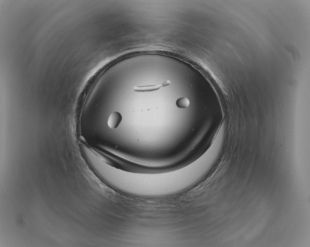 X0000112081460200908251054