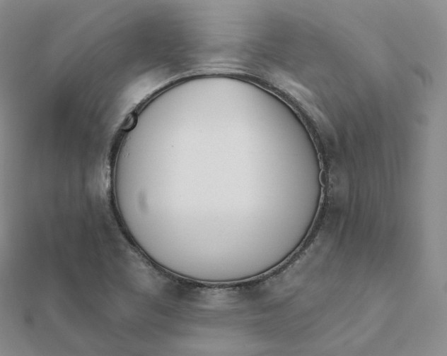 X0000112081461200908251054