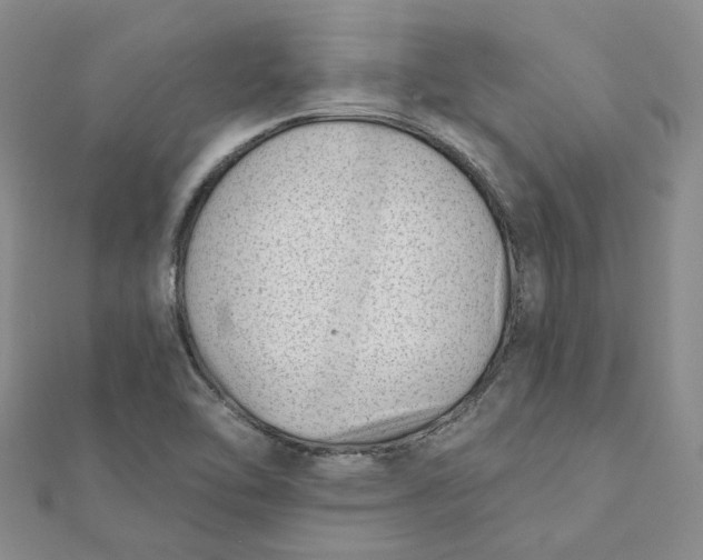 X0000112081462200908251054