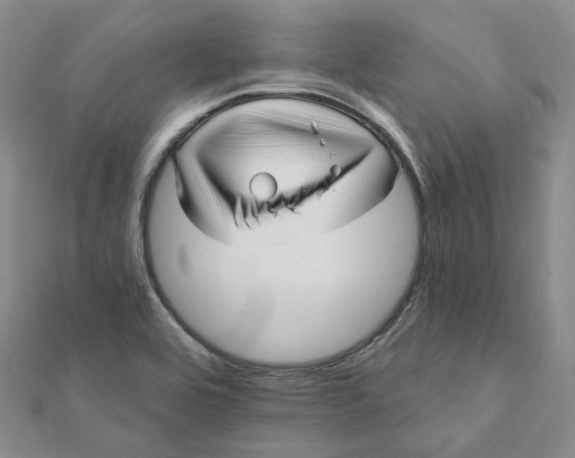 X0000112081464200908251053