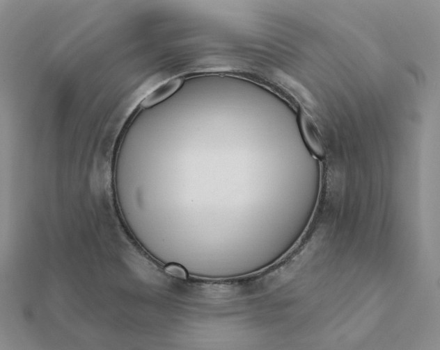 X0000112081465200908251053