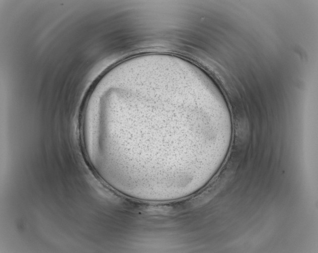 X0000112081466200908251053