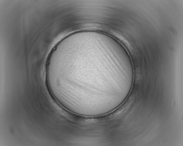 X0000112081467200908251053