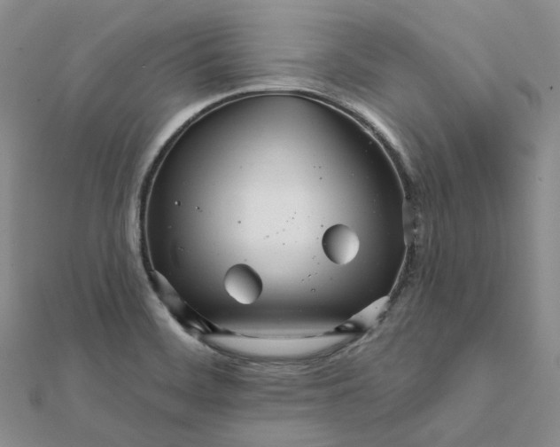 X0000112081468200908251053