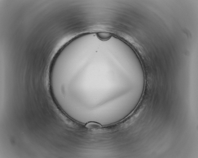 X0000112081469200908251053