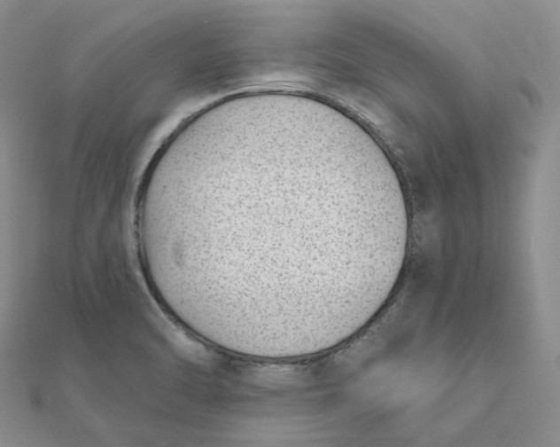 X0000112081470200908251053