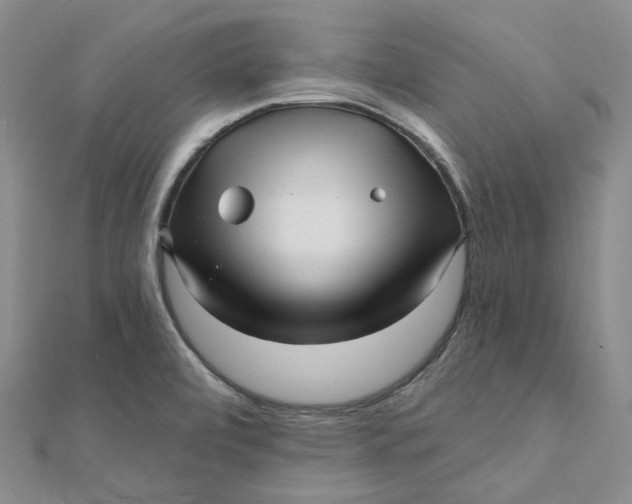 X0000112081472200908251053