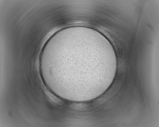 X0000112081474200908251053