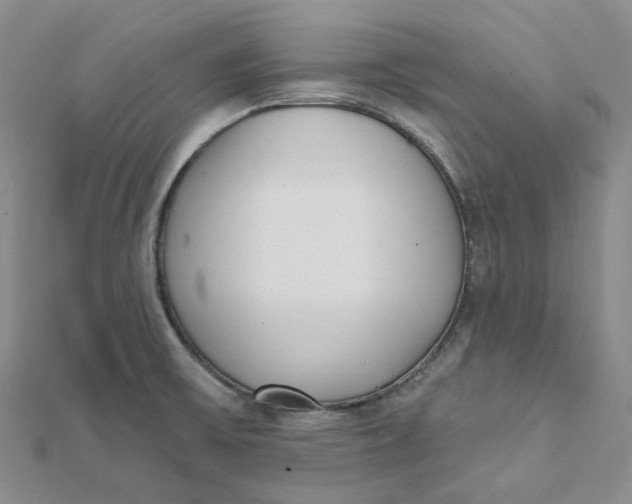 X0000112081475200908251053