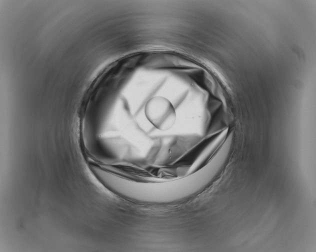 X0000112081476200908251053