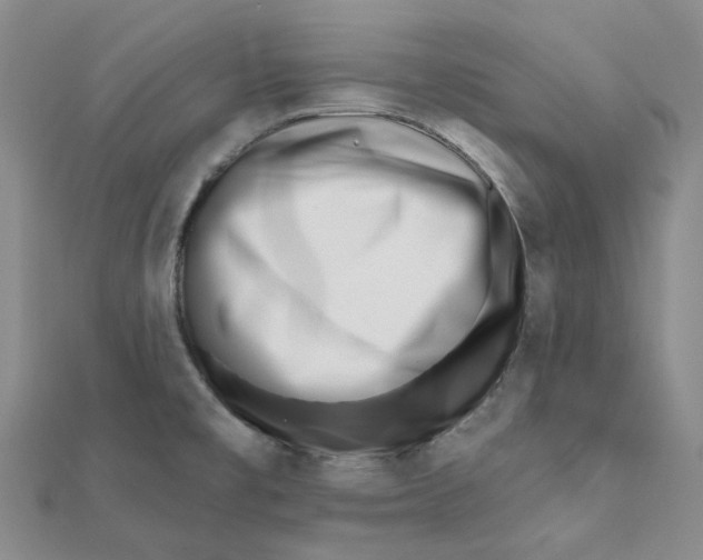 X0000112081477200908251053