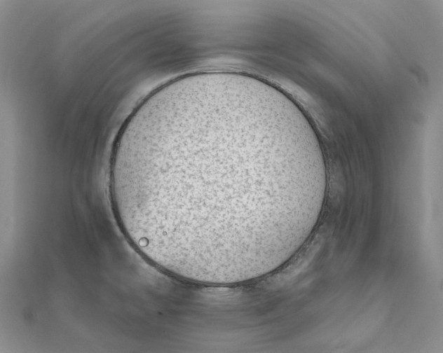 X0000112081478200908251053