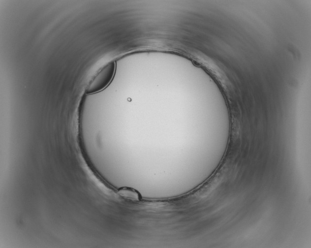 X0000112081479200908251053