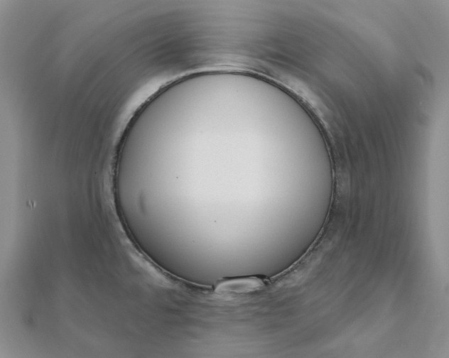 X0000112081480200908251053