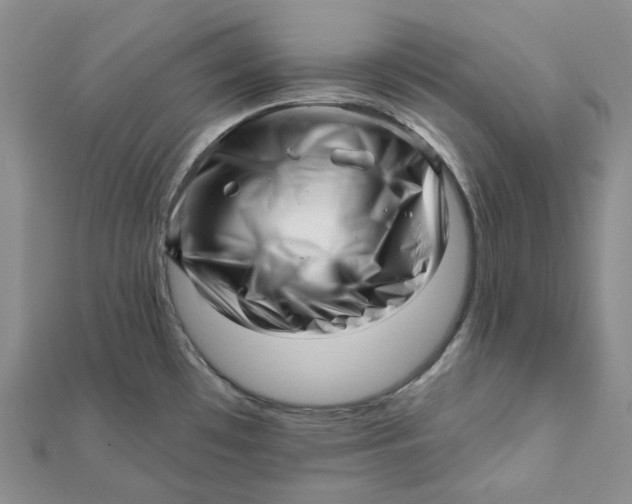 X0000112081481200908251053