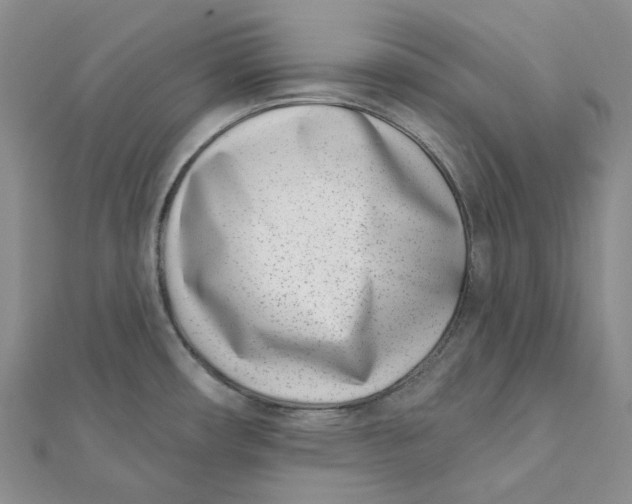 X0000112081482200908251053