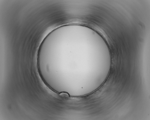 X0000112081483200908251053