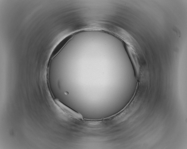 X0000112081484200908251053