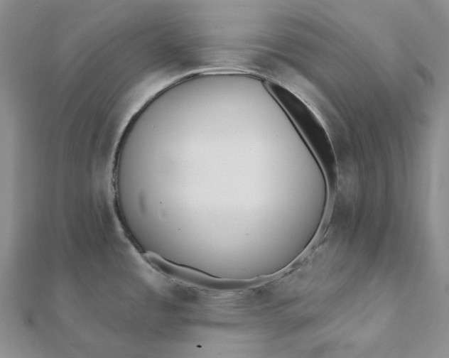 X0000112081485200908251053