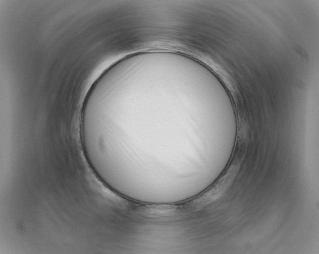 X0000112081486200908251053