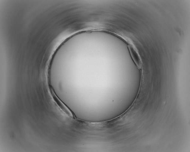 X0000112081488200908251053