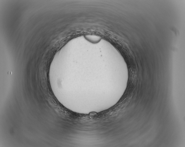 X0000112081489200908251053