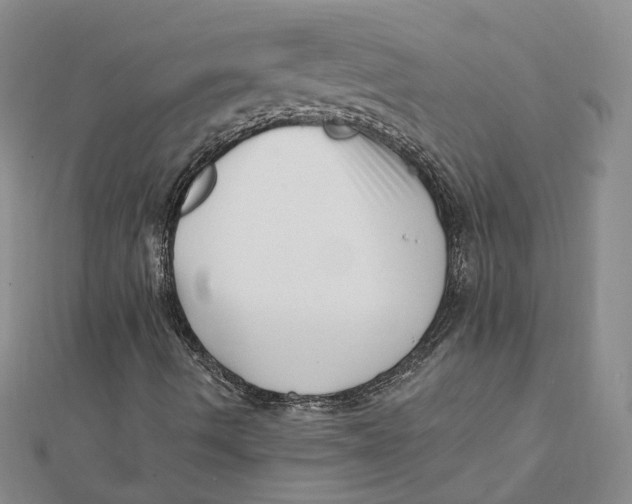 X0000112081490200908251053