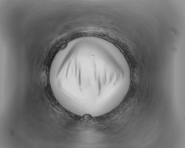 X0000112081493200908251053