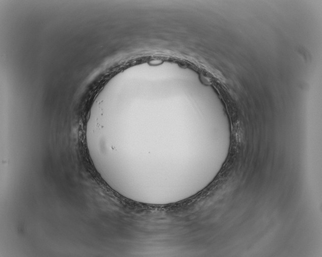 X0000112081495200908251053