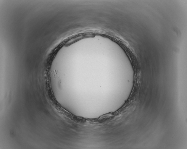 X0000112081496200908251053