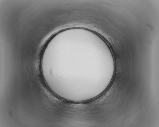 X0000112081502200908251053