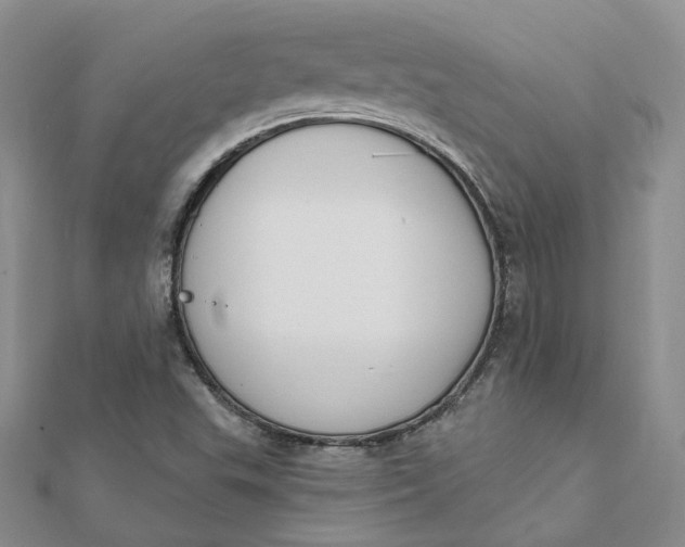 X0000112081503200908251053