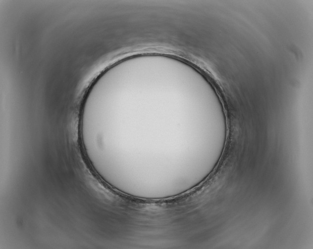 X0000112081504200908251053