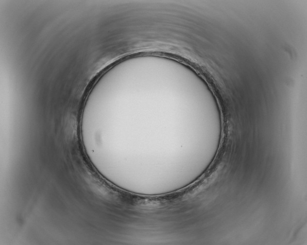 X0000112081505200908251053