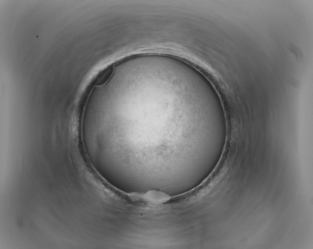 X0000112081506200908251053