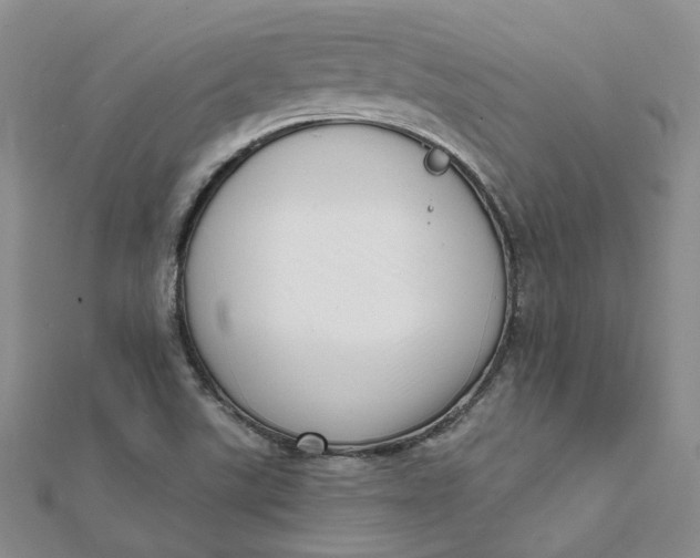 X0000112081507200908251053