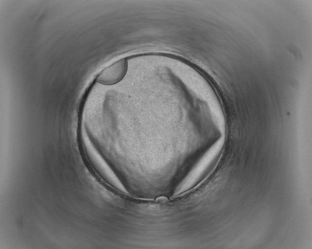 X0000112081508200908251053