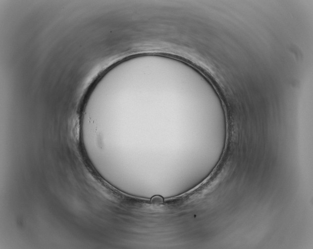 X0000112081509200908251053